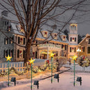 Luz Navideña Nieve | Jardín y Patio | LED Enchufe