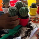 Guantes jardinería manga larga | Antidesgaste | Poda de rosas